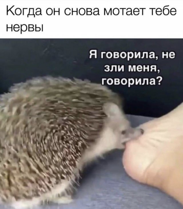 Лучшие шутки и мемы из Сети