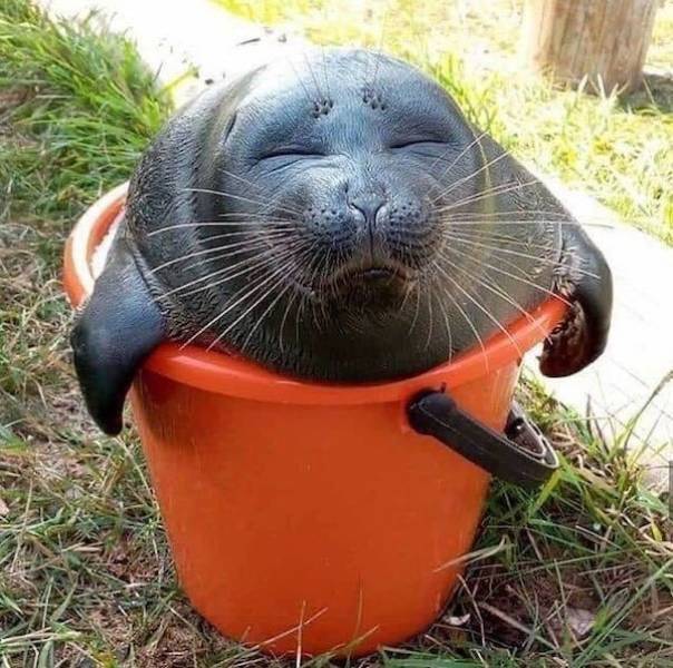 Смешные картинки 23 декабря 2021 года