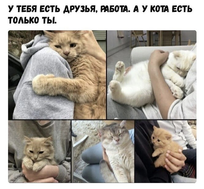 Смешные и познавательные картинки