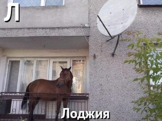 Азбука для «тыждизайнеров»
