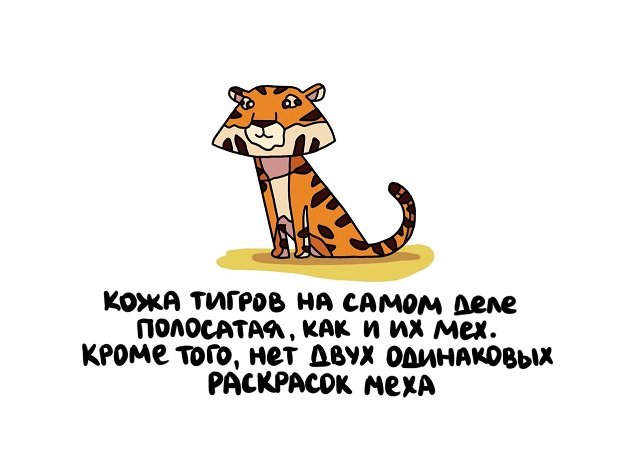 Интересные факты на все случаи жизни