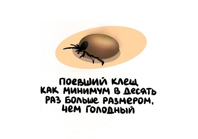 Интересные факты на все случаи жизни
