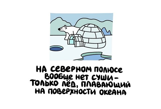 Интересные факты на все случаи жизни