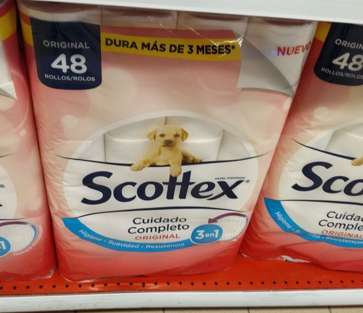 20+ привычных для испанцев вещей, которые в голове не укладываются у наших туристов