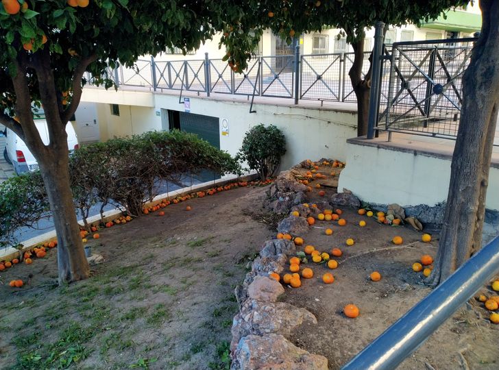 20+ привычных для испанцев вещей, которые в голове не укладываются у наших туристов