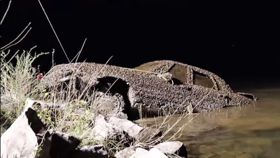 Bigpicture ru nintchdbpict000699647361