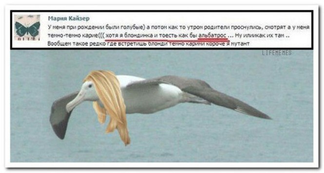 Смешные и познавательные картинки