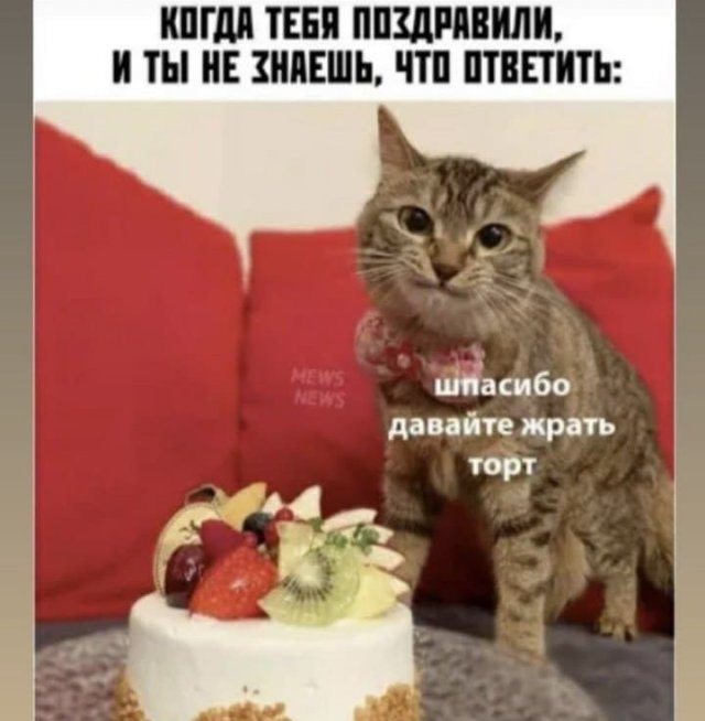 Лучшие шутки и мемы из Сети