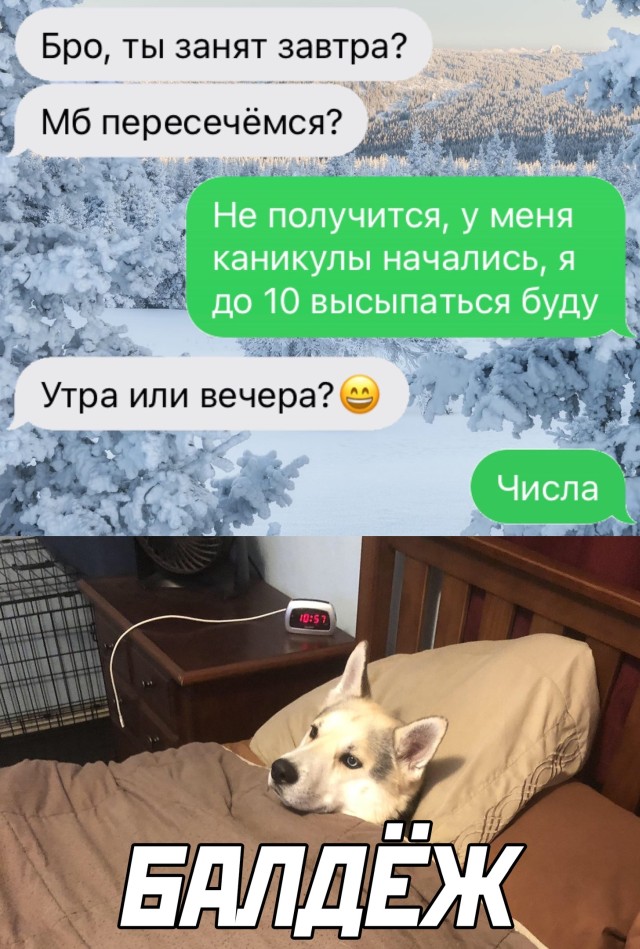 Смешные картинки 27 декабря 2021 года
