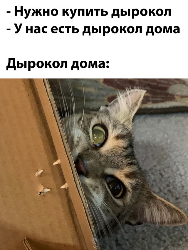 Смешные картинки 27 декабря 2021 года