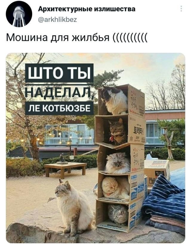 Подборка забавных твитов обо всем