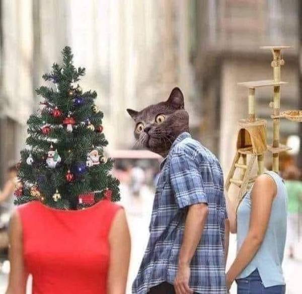 Смешные картинки 28 декабря 2021 года