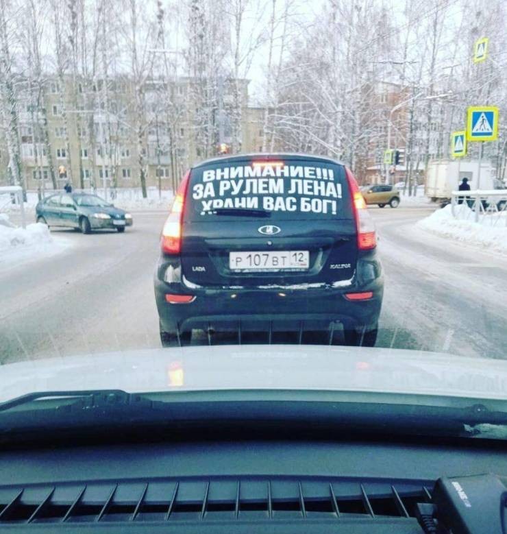 Смешные картинки 28 декабря 2021 года