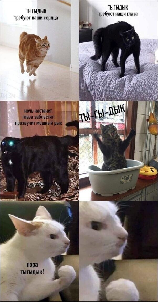 Улыбнись с утречка