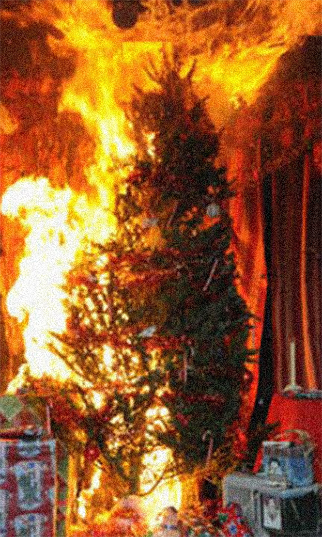 Фото №2 - Елочка, зажгись! 14 фотографий новогодних разрушений