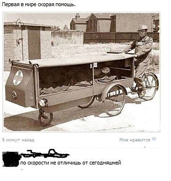 Смешные и познавательные картинки