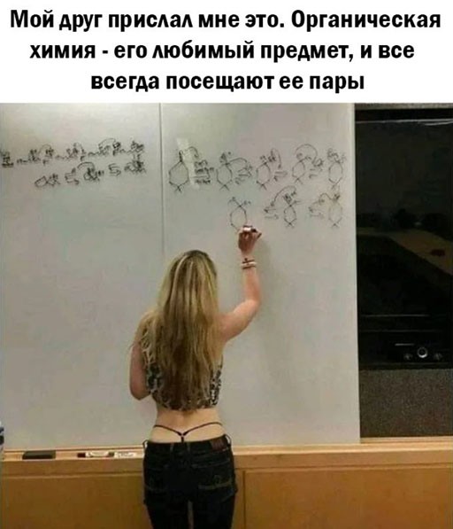Смешные и познавательные картинки
