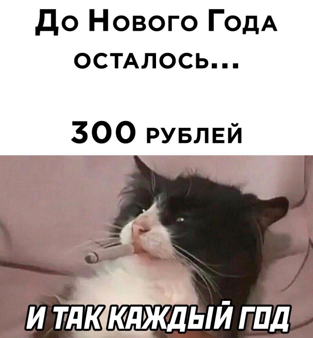 Смешные картинки 31 декабря 2021 года