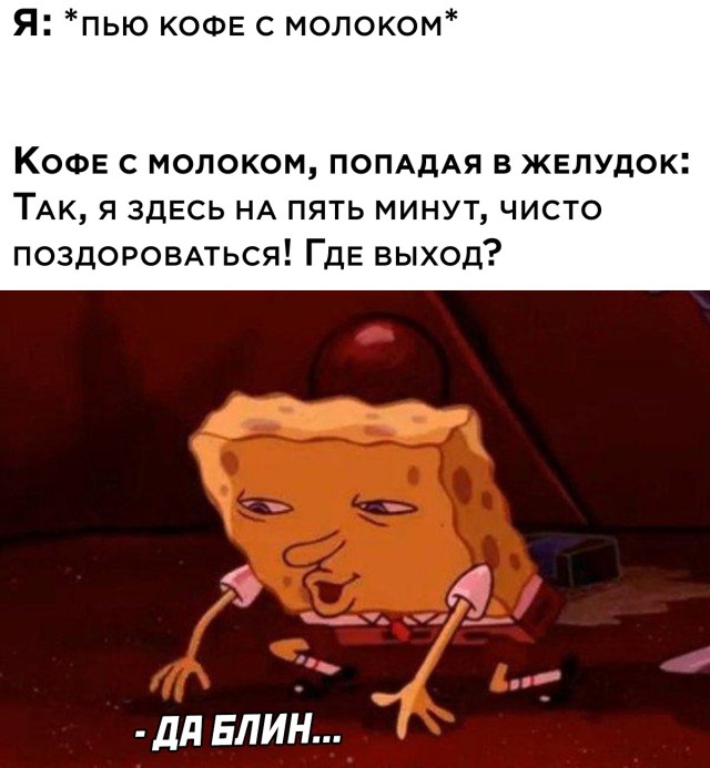 Смешные картинки 31 декабря 2021 года