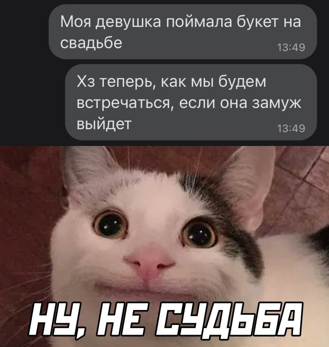 Смешные картинки 4 января 2022 года