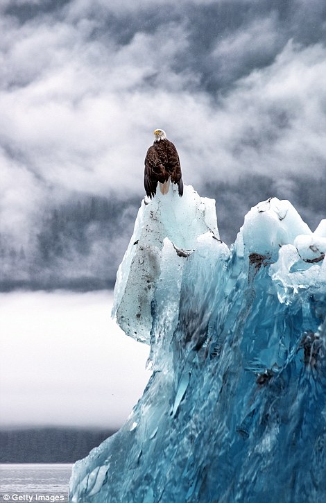 Фотография: Как выглядят самые древние в мире айсберги №8 - BigPicture.ru