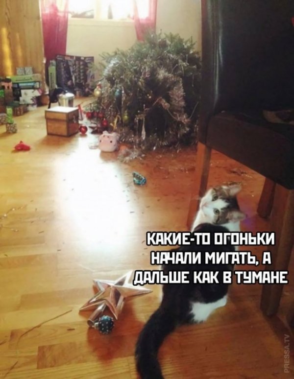 Картинки и мемы для настроения