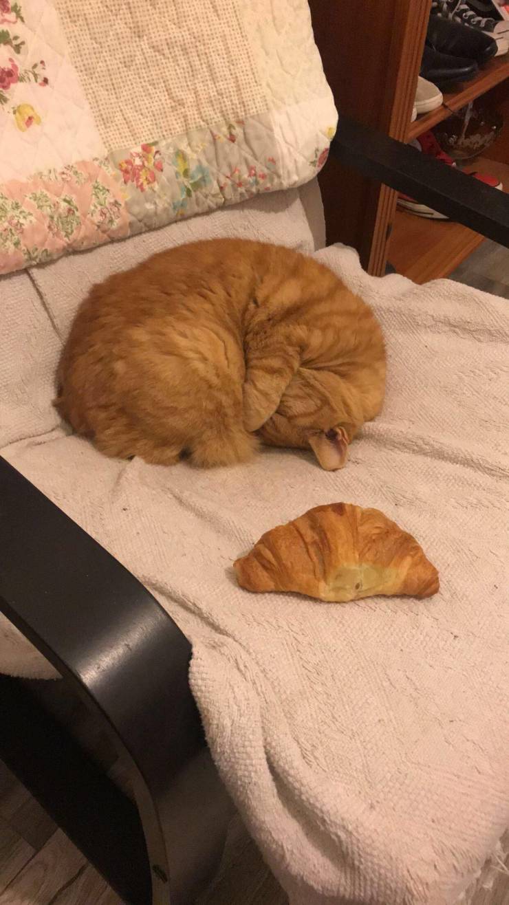 Смешные картинки 7 января 2022 года