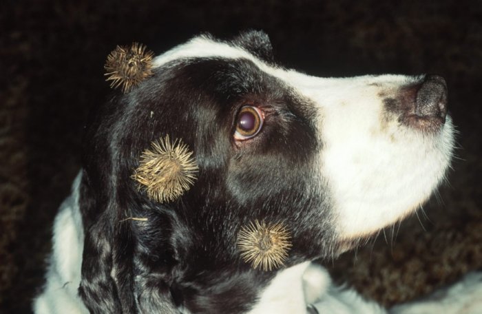 5 случайных изобретений, которые навсегда изменили нашу жизнь