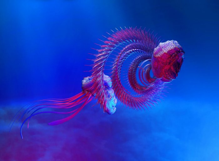 Гигантская сифонофора: Почти самое длинное животное на планете обходится без мозга, крови и систем для дыхания. Что ты такое? Гигантская сифонофора: Почти самое длинное животное на планете обходится без мозга, крови и систем для дыхания. Что ты такое?