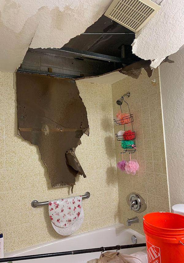 Bigpicture ru people who are probably having a worse day than you right now humor funny pictures 120221 12
