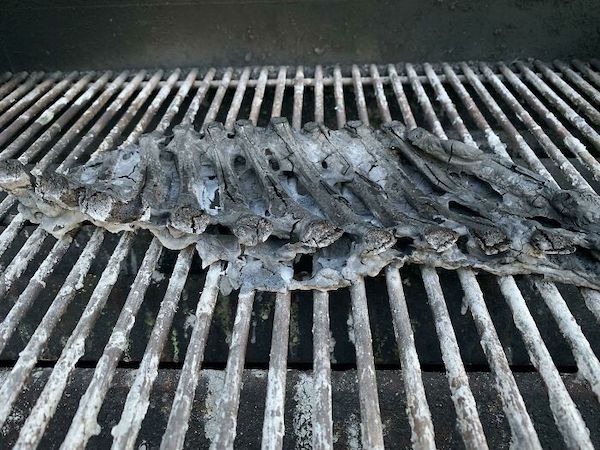 Bigpicture ru people who are probably having a worse day than you right now humor funny pictures 010922 11