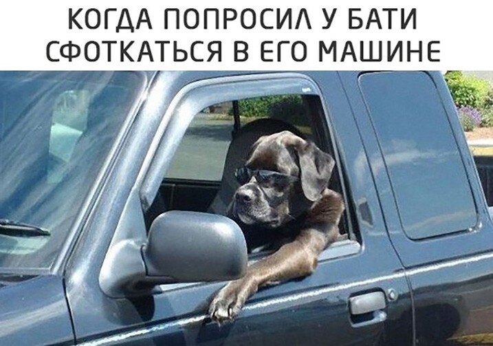 Смешные и познавательные картинки