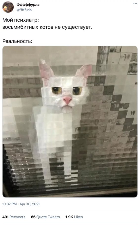 Неугомонные философы из Твиттера, посты которых заставляют задуматься