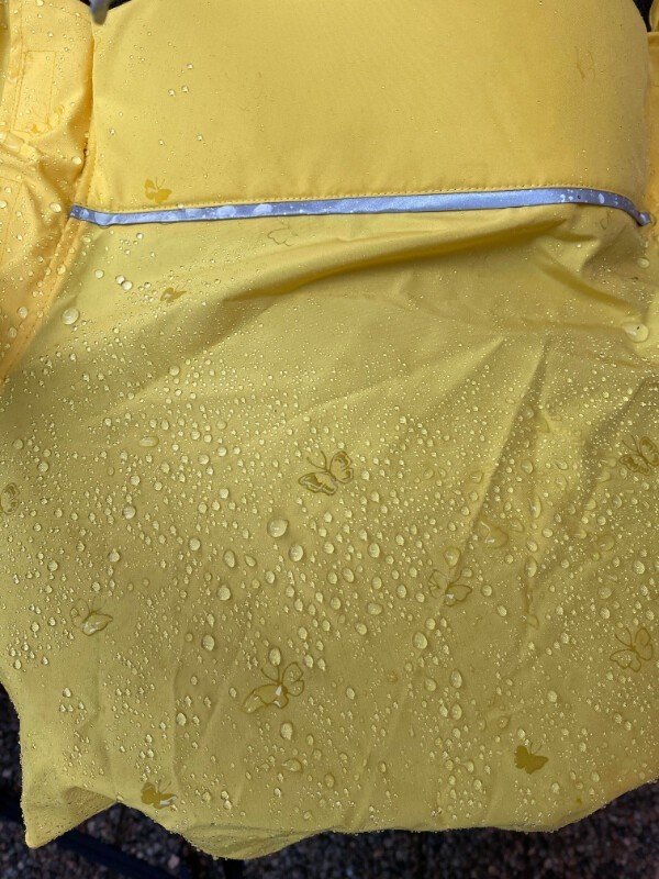 22 неожиданных находки, которые помогут взглянуть на мир по-новому