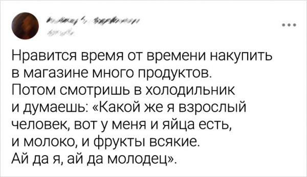 Подборка забавных твитов