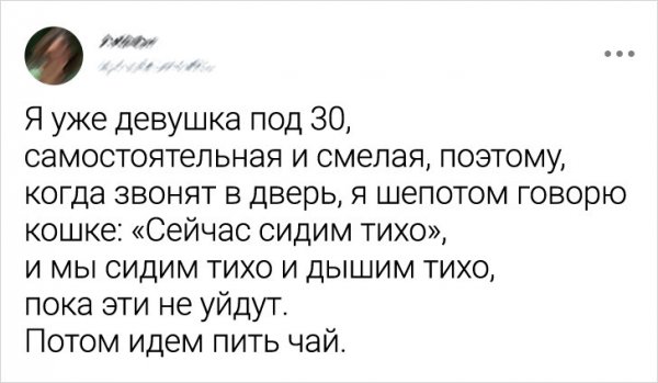 Подборка забавных твитов