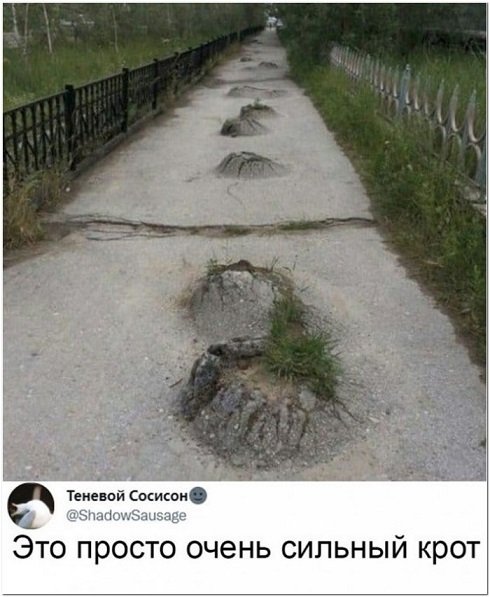 Прыколы