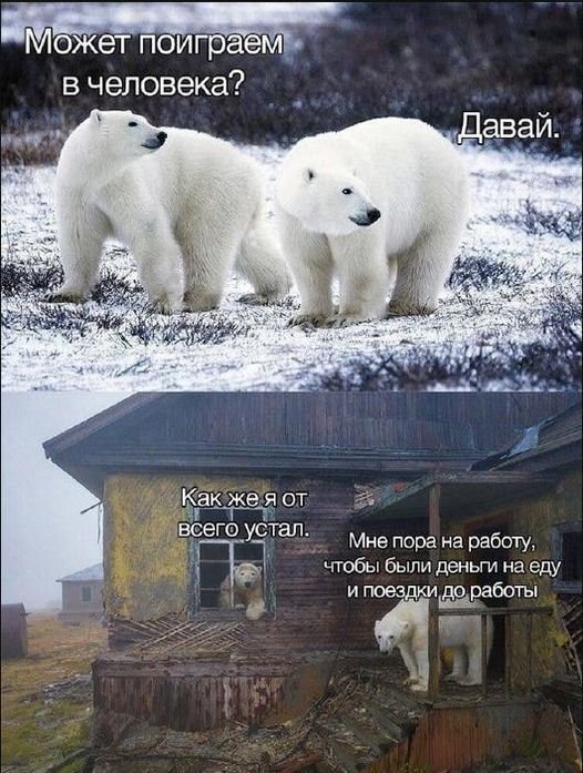 Прыколы