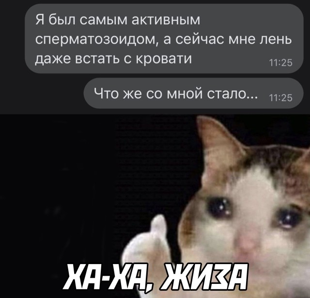 Смешные картинки 20 января 2022 года