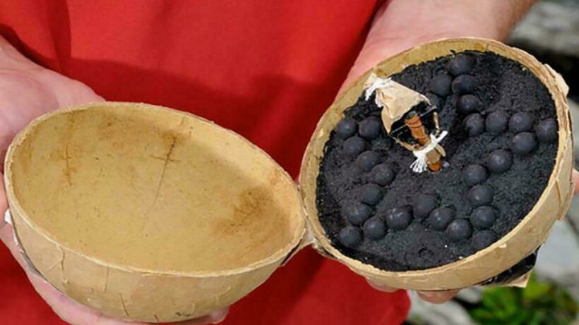 Захватывающие кадры в разрезе, раскрывающие суть предметов Захватывающие кадры в разрезе, раскрывающие суть предметов