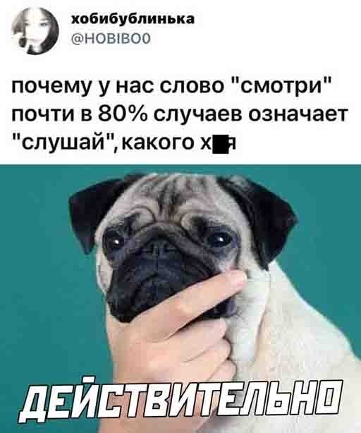Смешные и познавательные картинки