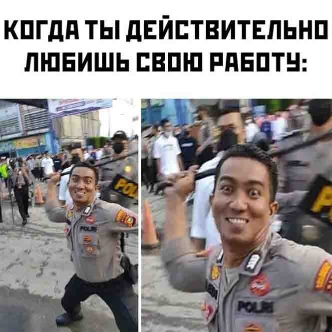 Смешные и познавательные картинки