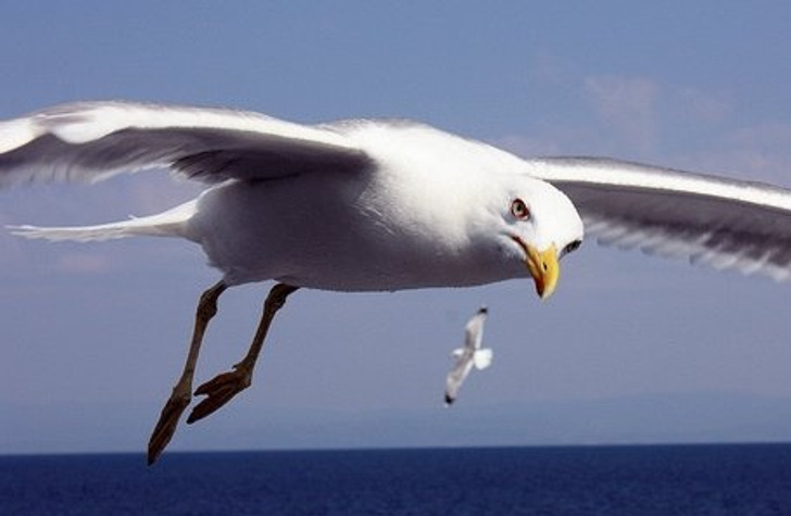20+ доказательств того, что поездка в Грецию может обернуться тонной фоток в телефоне и вагоном уморительных баек