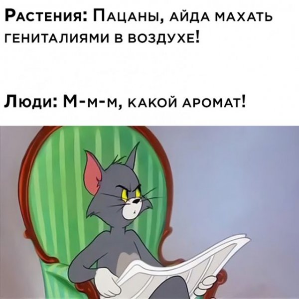 Весёлые