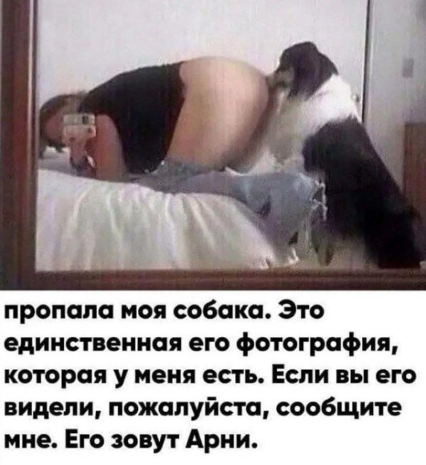 Немного слегка пошлых картинок с надписями и без