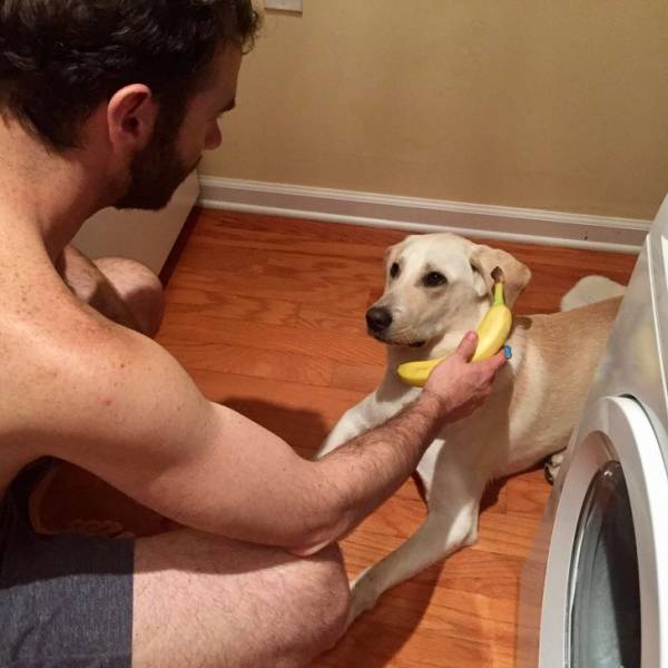 Фотография: 25 смешных, странных и глупых поступков пьяных людей №12 - BigPicture.ru