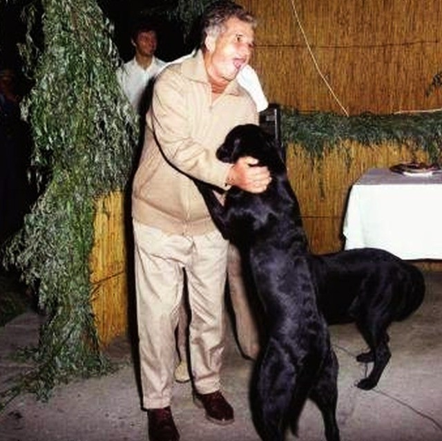 Внезапные факты обо всем на свете Внезапные факты обо всем на свете