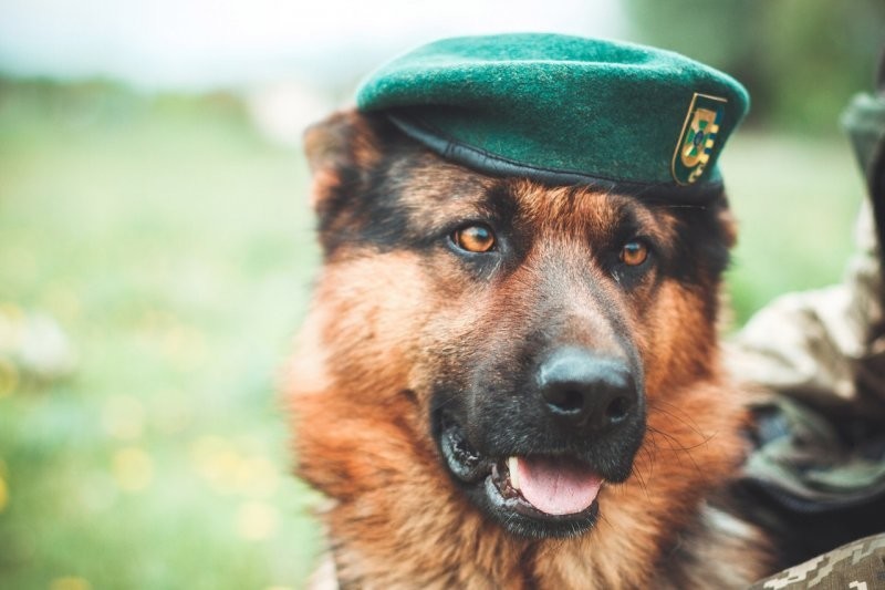 Внезапные факты обо всем на свете Внезапные факты обо всем на свете