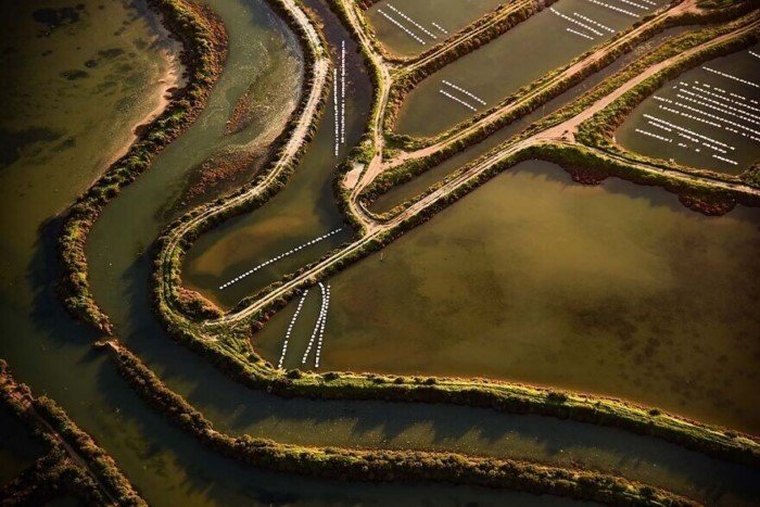 Айя Окава - фотограф, который ищет формы мира