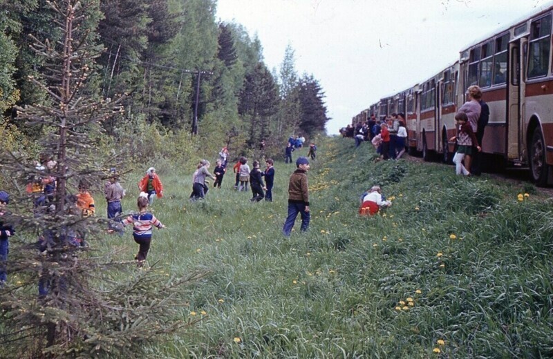 Обязательная остановка по пути. Мальчики — налево, девочки — направо... Обязательная остановка по пути. Мальчики — налево, девочки — направо...